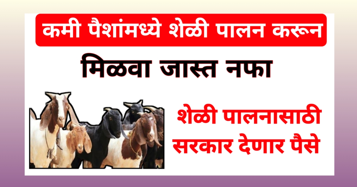 Sheli Palan Yojana 2025 | शेळी पालन योजना 2025 महाराष्ट्र: महाराष्ट्रातील शेतकऱ्यांसाठी एक सोनेरी संधी