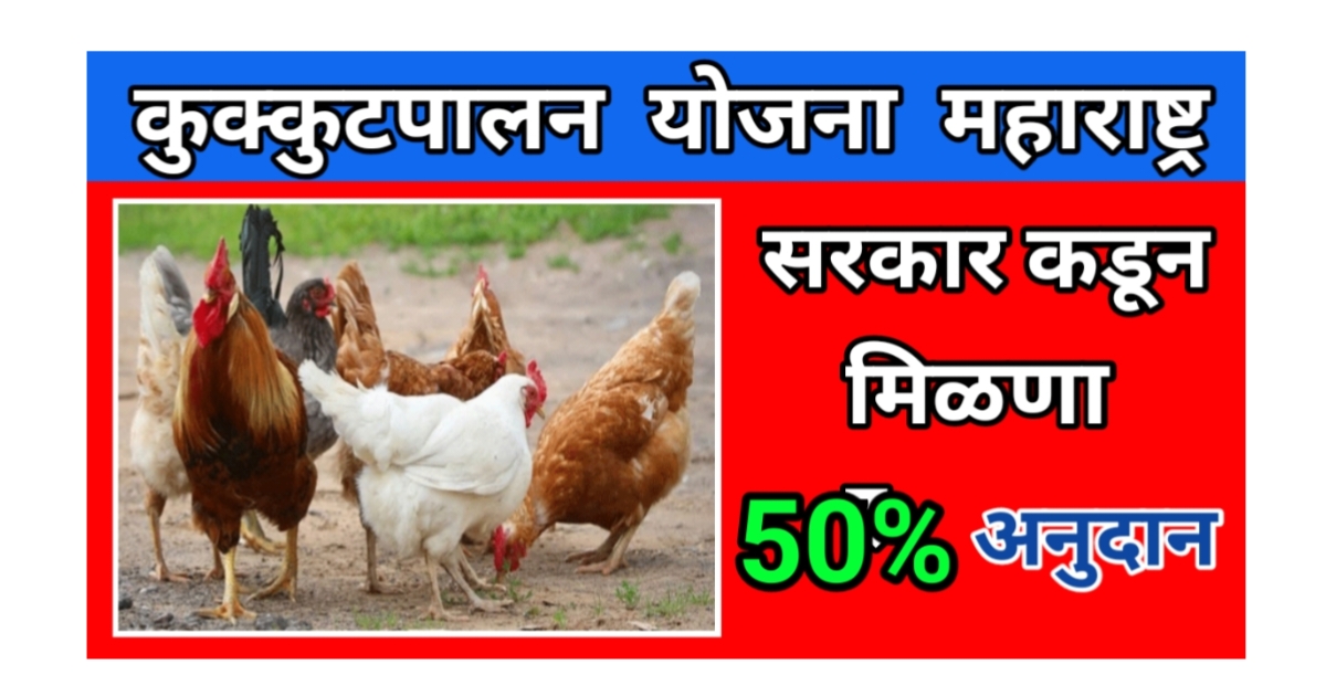 कुकुटपालन योजना 2025– . सरकार देते 50% अनुदान – कोंबडीपालन करून लाखोंची कमाई!