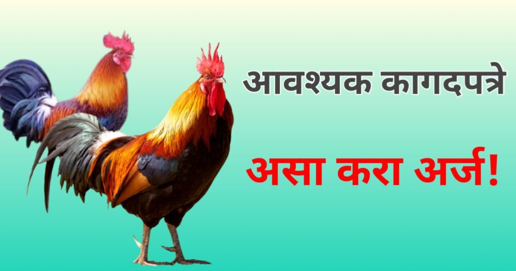 कुकुटपालन योजना 2025– . सरकार देते 50% अनुदान – कोंबडीपालन करून लाखोंची कमाई!